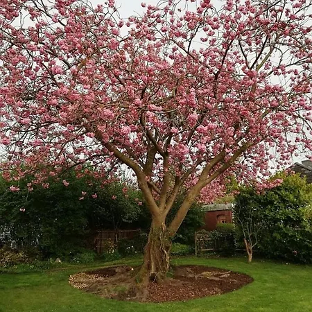 Kapitaensblick Appartement *
