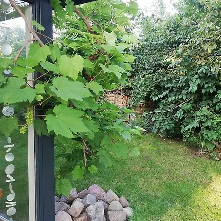 Apartament Kapitaensblick *