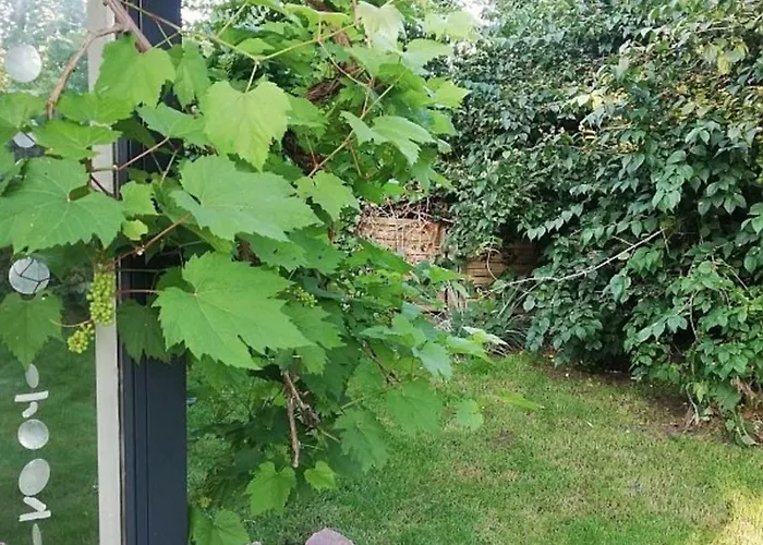 Appartement Kapitaensblick *